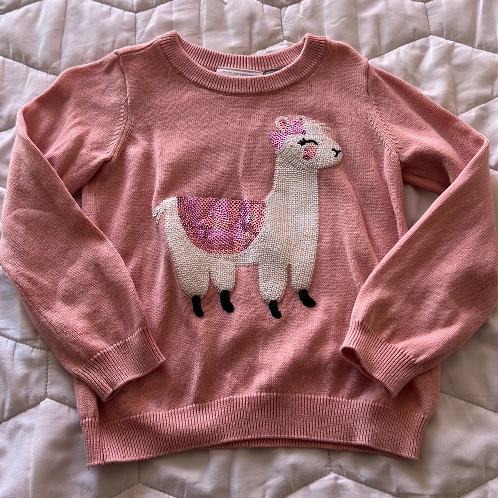 Children’s Place 3T sweater EUC